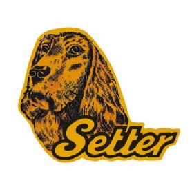 Imagen de SETTER