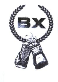 Imagen de BX