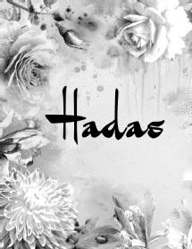 Imagen de HADAS