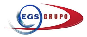 Imagen de EGS GRUPO