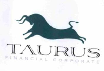 Imagen de TAURUS FINANCIAL CORPORATE
