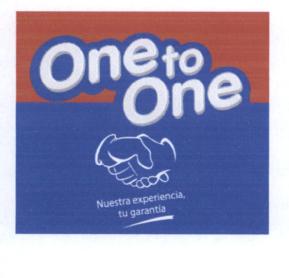 Imagen de ONE TO ONE NUESTRA EXPERIENCIA TU GARANTIA