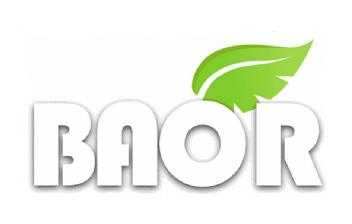 Imagen de BAOR