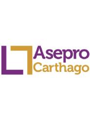 Imagen de ASEPRO CARTHAGO