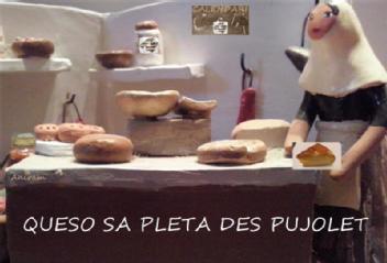Imagen de QUESO SA PLETA DES PUJOLET