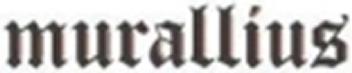 Imagen de MURALLIUS