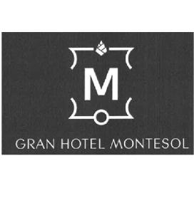 Imagen de M GRAN HOTEL MONTESOL