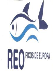 Imagen de REO PICOS DE EUROPA