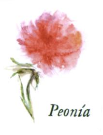 Imagen de PEONIA