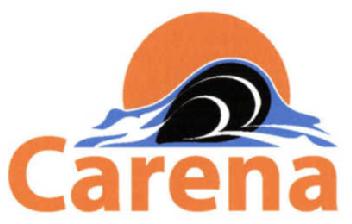 Imagen de CARENA