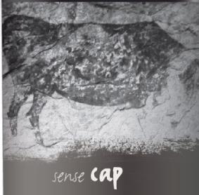 Imagen de SENSE CAP