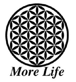 Imagen de MORE LIFE