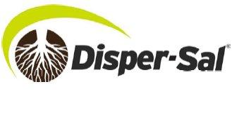 Imagen de DISPER-SAL