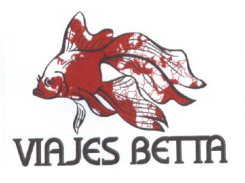 Imagen de VIAJES BETTA