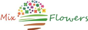 Imagen de MIX FLOWERS