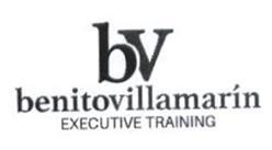 Imagen de BV BENITOVILLAMARIN EXECUTIVE TRAINING