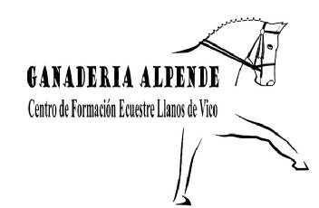Imagen de GANADERIA ALPENDE CENTRO DE FORMACION ECUESTRE LLANOS DE VICO