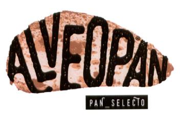 Imagen de ALVEOPAN PAN SELECTO
