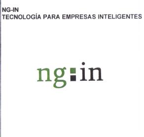 Imagen de NG-IN TECNOLOGIA PARA EMPRESAS INTELIGENTES NG:IN