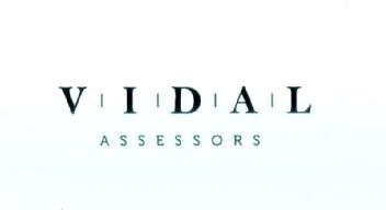 Imagen de VIDAL ASSESSORS