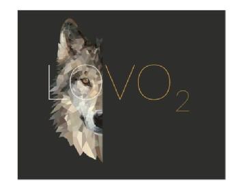 Imagen de LOVO2