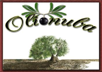 Imagen de OLIONUBA