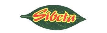 Imagen de SIBETA