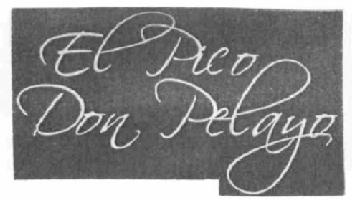 Imagen de EL PICO DON PELAYO