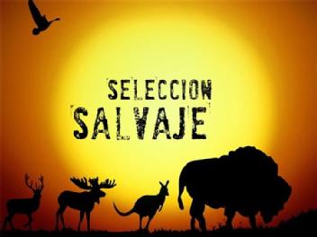 Imagen de SELECCION SALVAJE