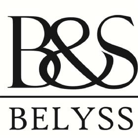 Imagen de B&S BELYSS