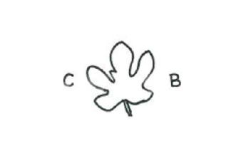 Imagen de C B