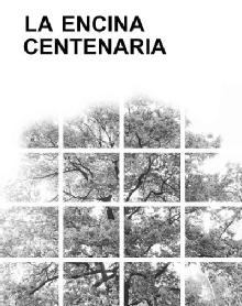 Imagen de LA ENCINA CENTENARIA