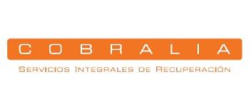 Imagen de COBRALIA SERVICIOS INTEGRALES DE RECUPERACION