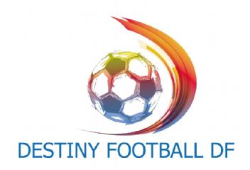 Imagen de DESTINY FOOTBALL DF