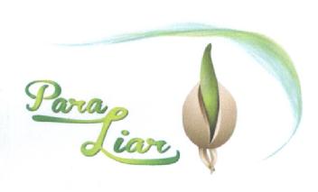 Imagen de PARA LIAR