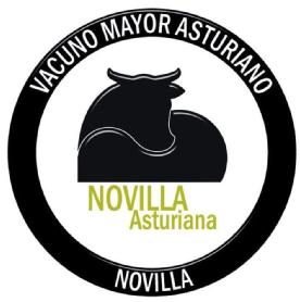 Imagen de NOVILLA ASTURIANA VACUNO MAYOR ASTURIANO NOVILLA