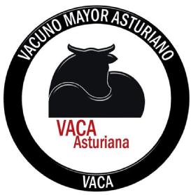 Imagen de VACA ASTURIANA VACUNO MAYOR ASTURIANO VACA