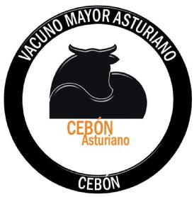 Imagen de CEBON ASTURIANO VACUNO MAYOR ASTURIANO CEBON