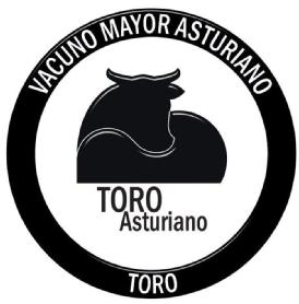 Imagen de TORO ASTURIANO VACUNO MAYOR ASTURIANO TORO
