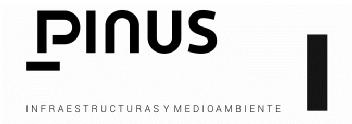 Imagen de PINUS, INFRAESTRUCTURAS Y MEDIOAMBIENTE
