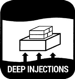 Imagen de DEEP INJECTIONS, FIG