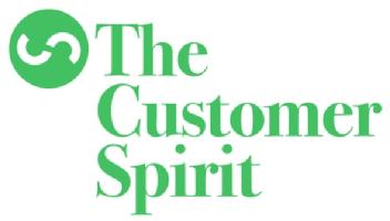 Imagen de THE CUSTOMER SPIRIT