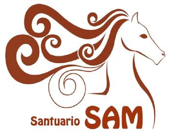 Imagen de SANTUARIO SAM
