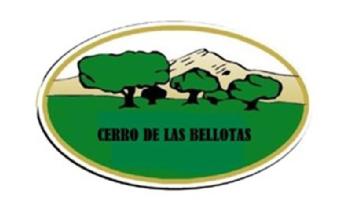 Imagen de CERRO DE LAS BELLOTAS