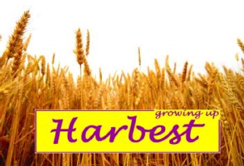 Imagen de GROWING UP HARBEST