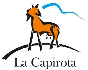 Imagen de LA CAPIROTA