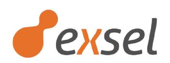 Imagen de EXSEL