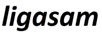 Imagen de LIGASAM