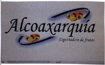 Imagen de ALCOAXARQUIA EXPORTADORA DE FRUTAS