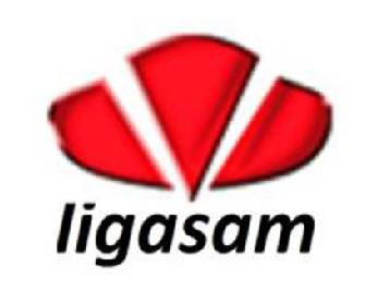 Imagen de LIGASAM
